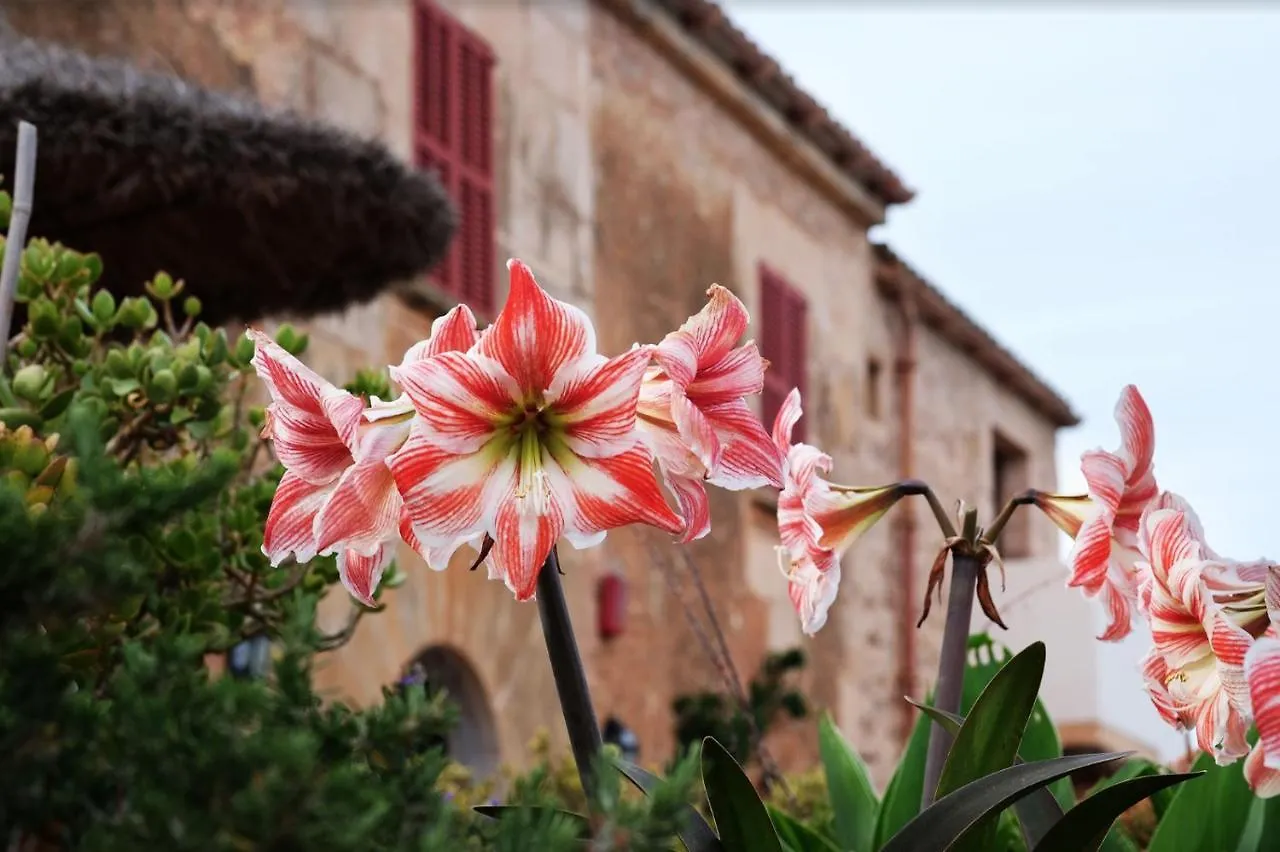 Finca Hotel Ses Cases Noves Sant Llorenc Des Cardassar 0*,