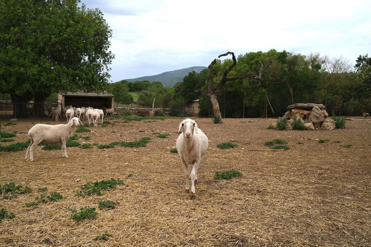 Finca Hotel Ses Cases Noves Sant Llorenc Des Cardassar