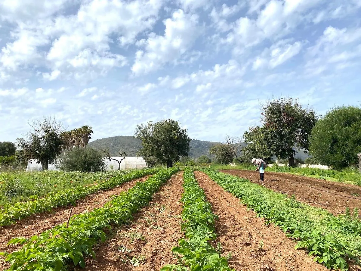 Finca Hotel Ses Cases Noves Sant Llorenc Des Cardassar 0*,  Spagna